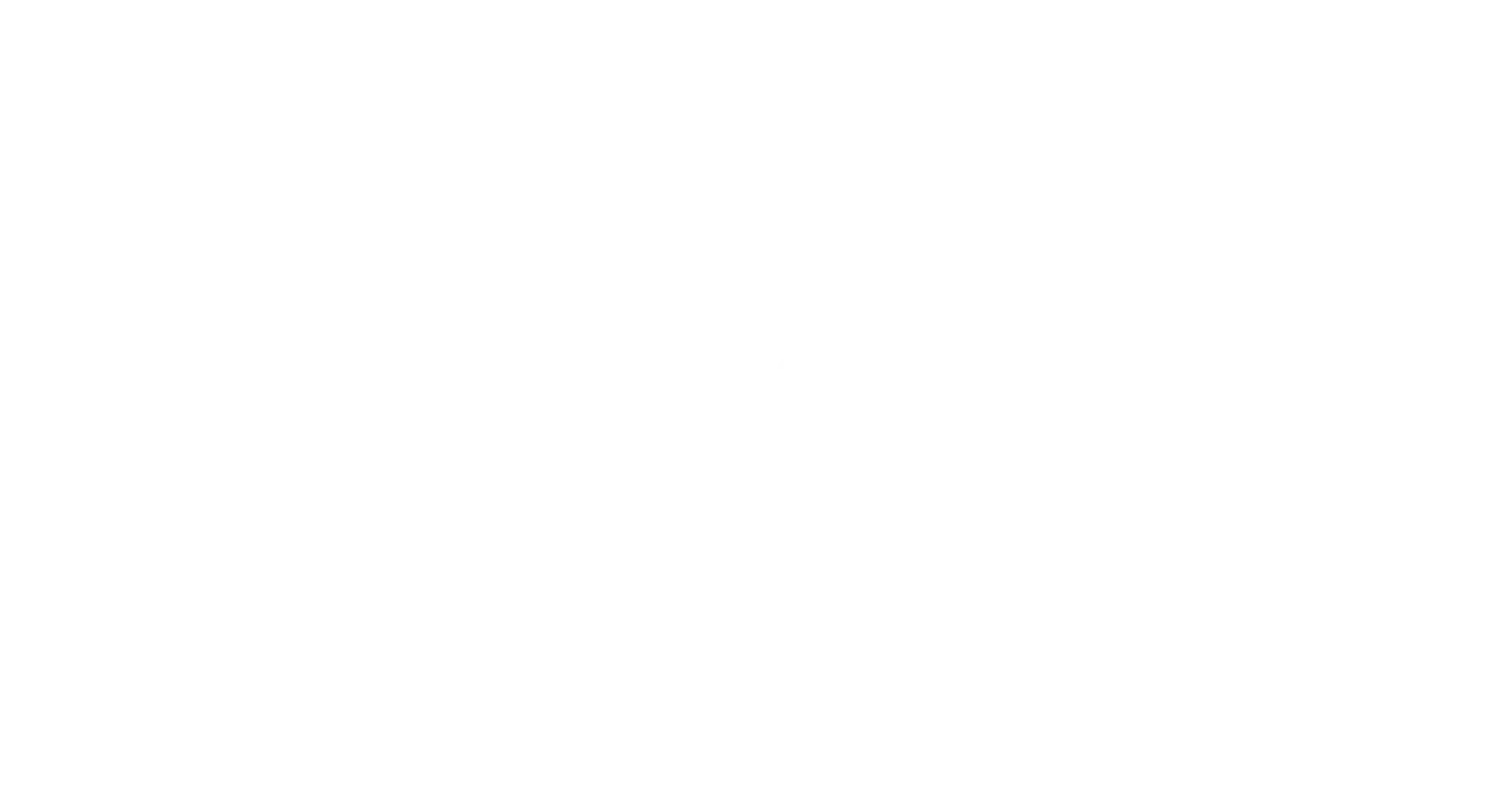 logo convertible center blanc