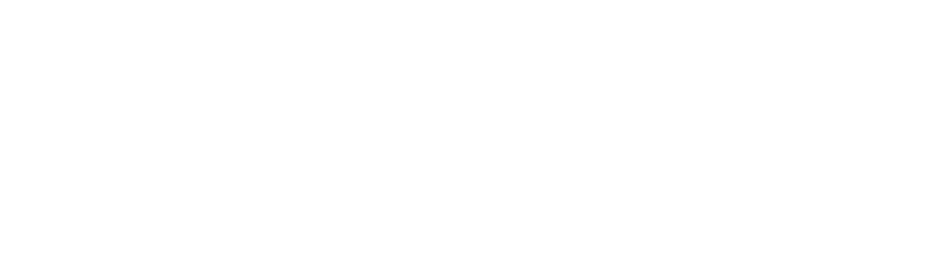 logo dsv blanc