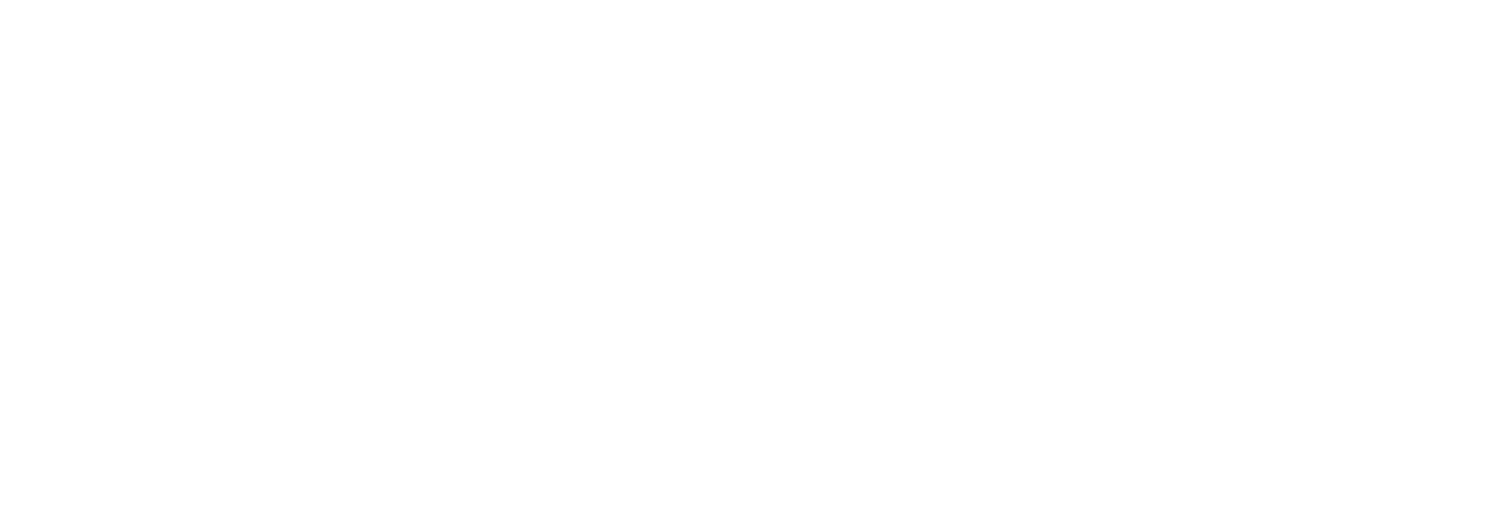 logo ev com blanc