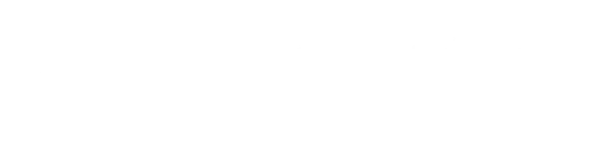 logo norauto blanc