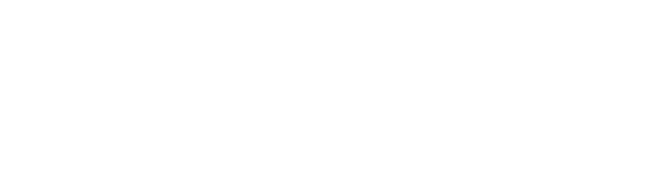 logo veepee blanc
