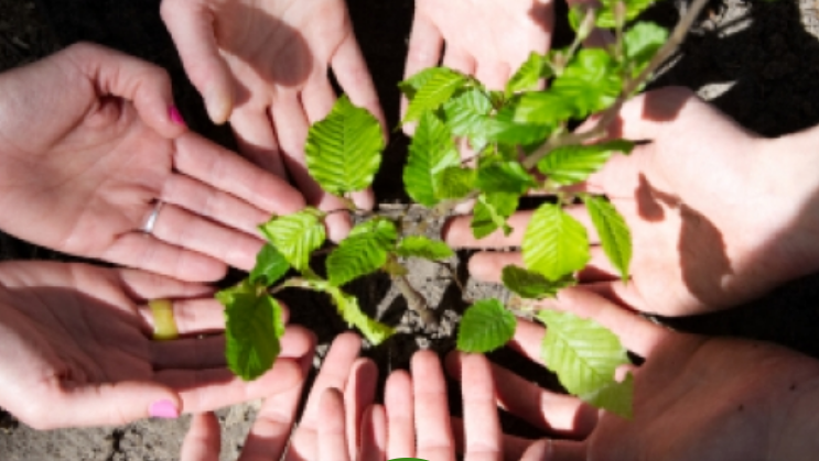 Plusieurs main avec au centre une motte de terre et un petit arbre