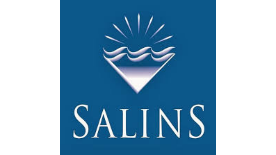 Logo de l'entreprise Salins